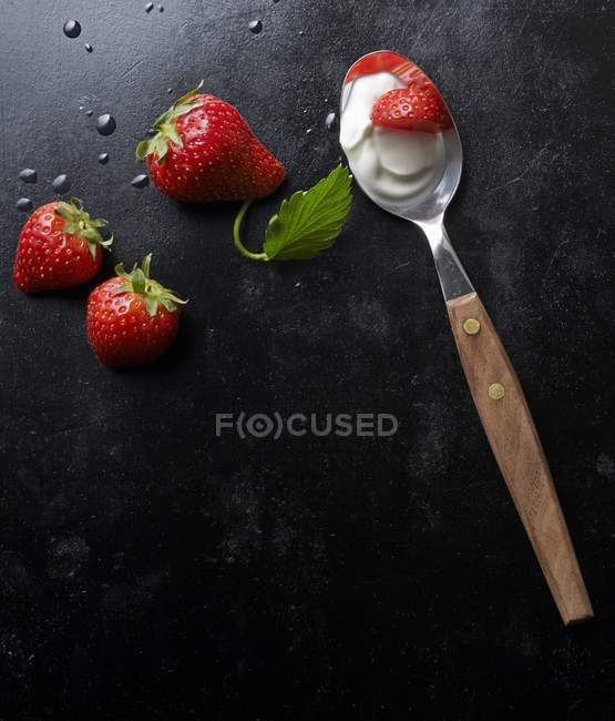Fraises et yaourts frais — Photo de stock