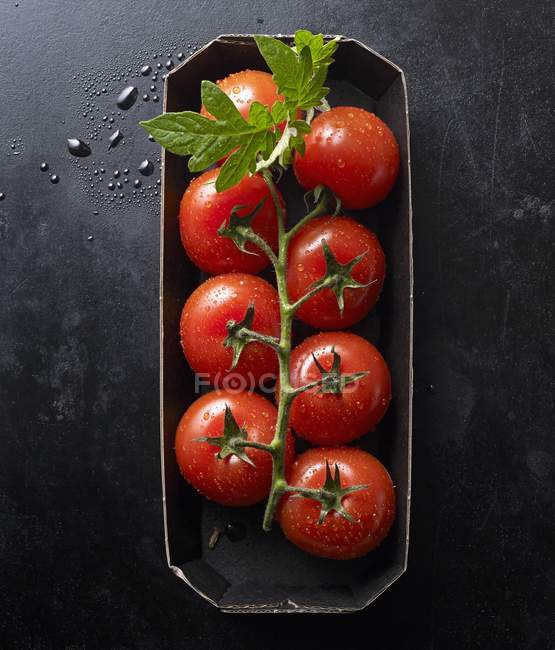 Свежие помидоры с листьями — стоковое фото