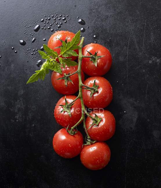 Tomates frescos e folhas — Fotografia de Stock