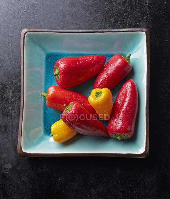 Fresh mini peppers in turquoise bowl — Stock Photo