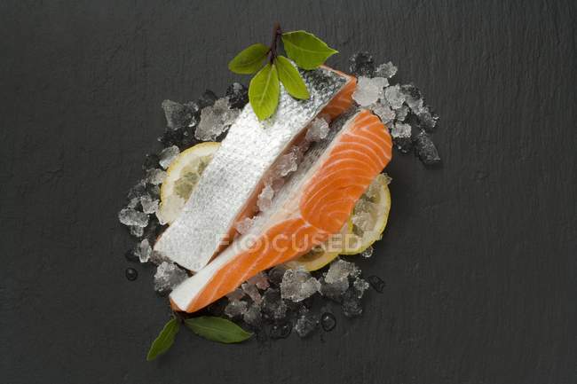 Sea trout fillets on ice cubes — Stock Photo