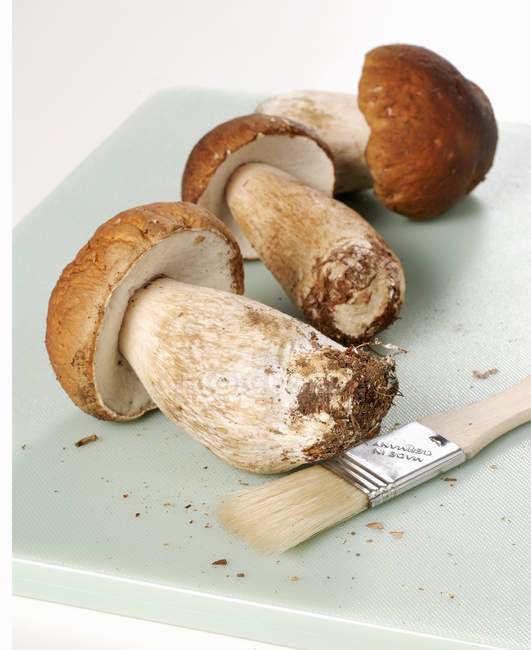 Свежие свиные грибы — стоковое фото
