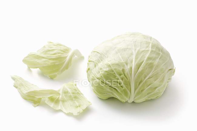 Fresh Jaroma white cabbage — Stock Photo