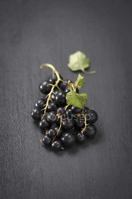 Raw blackcurrants on black — Stock Photo
