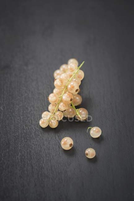 Ribes bianco su nero — Foto stock