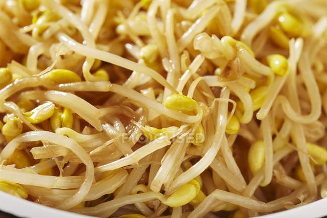 Soybean sprouts in wok — Stock Photo