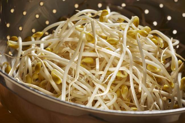 Fresh soybean sprouts — Stock Photo