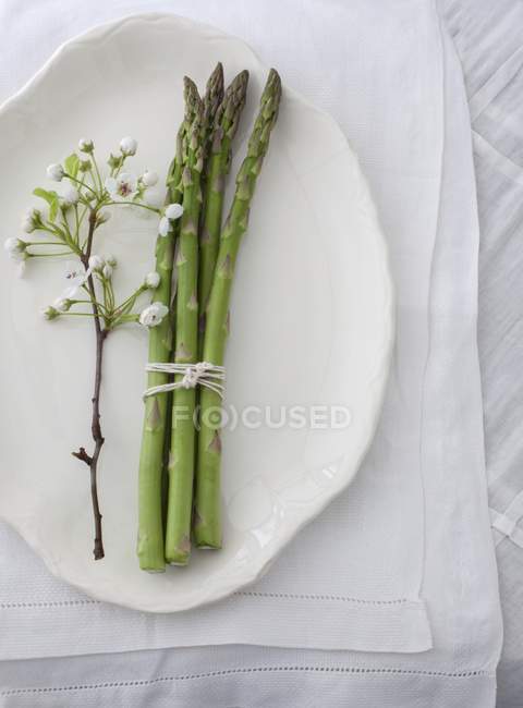 Bundle of asparagus and apple blossom — Stock Photo