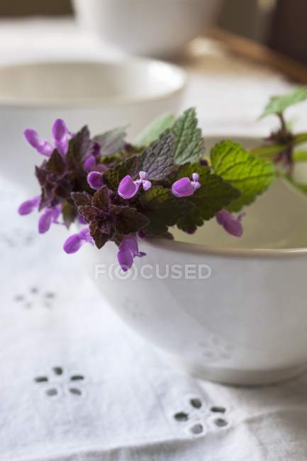 Nahaufnahme von lila Wildblumen auf einer Keramikschale — Stockfoto