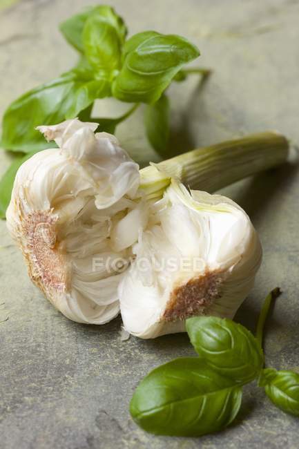 Fresh garlic and basil — Stock Photo
