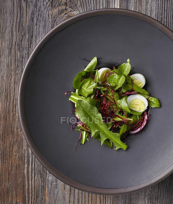 Салат из одуванчиков с капустой — стоковое фото