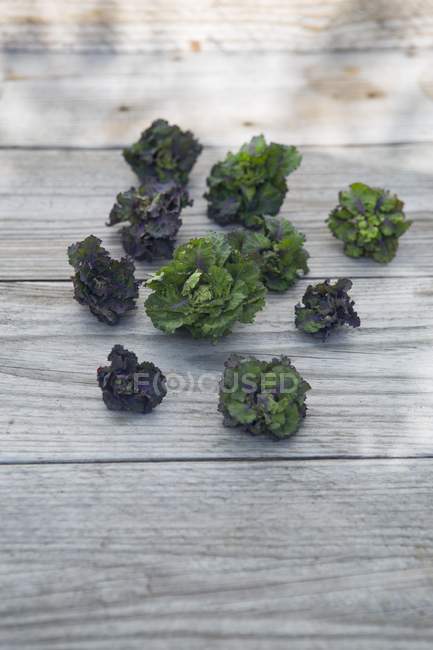 Wild Brussels sprouts — Stock Photo
