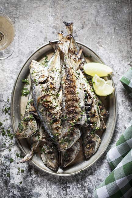 Grilled sardines with parsley — Stock Photo