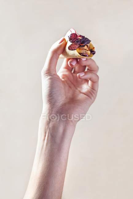 Closeup view of hand holding chicken Taco with red basil — Stock Photo