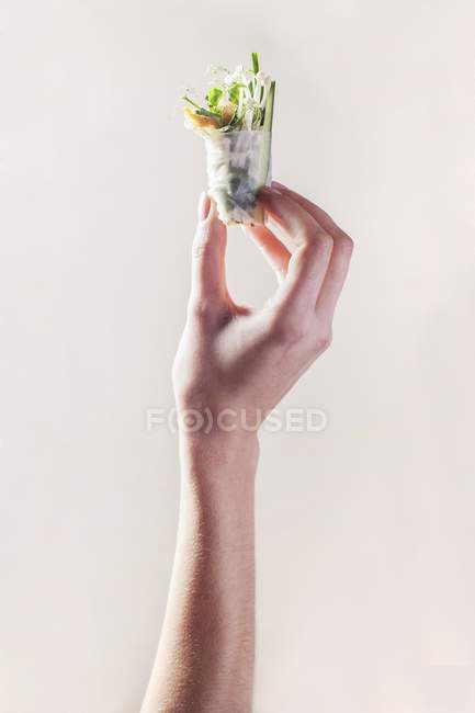 Closeup view of a hand holding a spring roll — Stock Photo