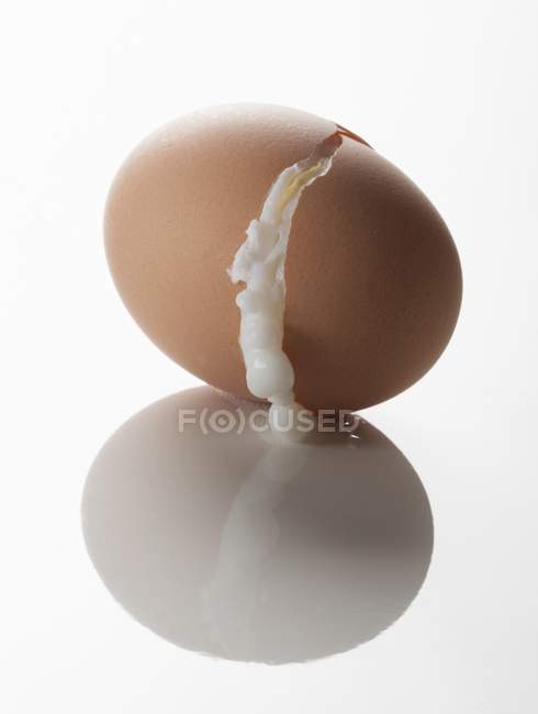 Huevo cocido partido - foto de stock