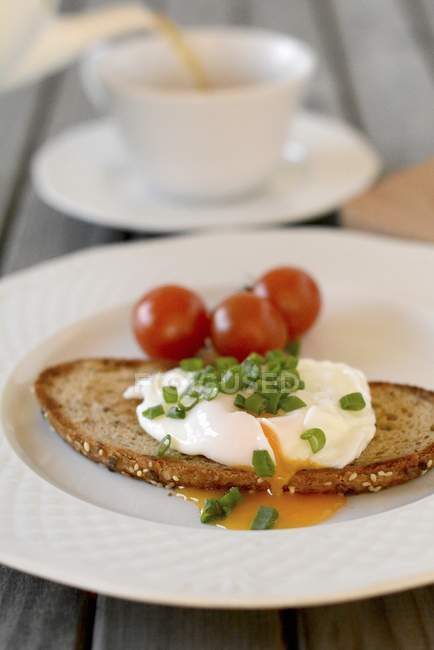 Poached egg on grilled bread — Stock Photo