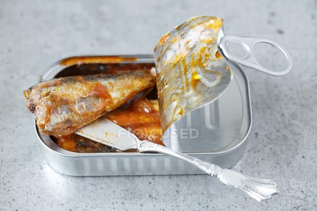 Closeup view of sardines in tomato sauce in a tin — Stock Photo