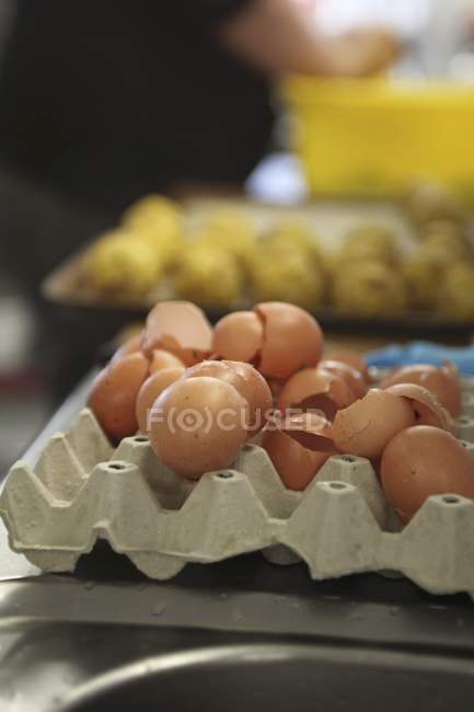 Coquilles d'œufs vides dans la boîte à œufs — Photo de stock