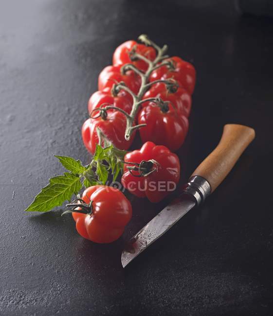 Міні перець помідори — стокове фото