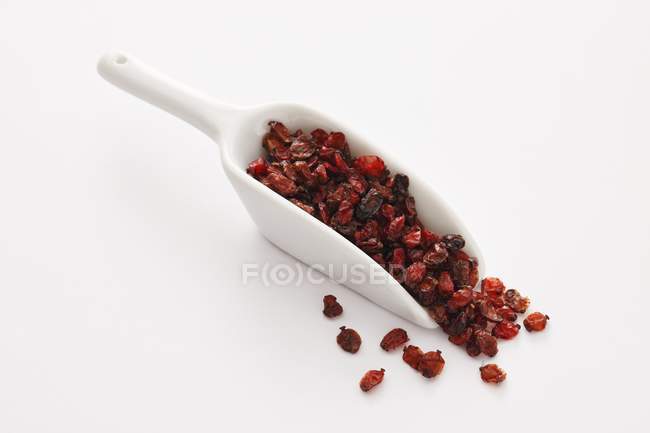 Dried barberries on small scoop — Stock Photo