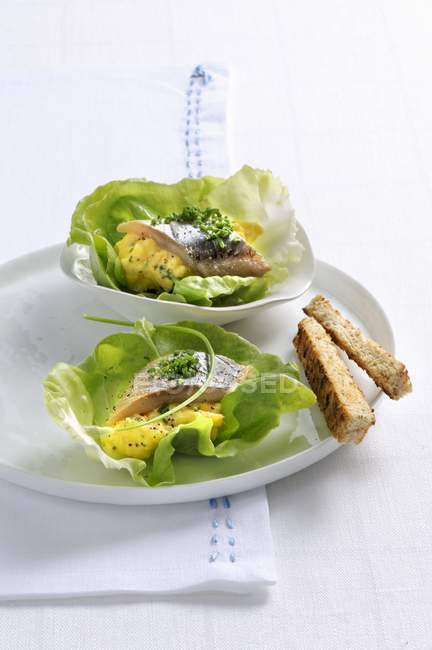 Closeup view of herring with scrambled egg on lettuce leaves — Stock Photo
