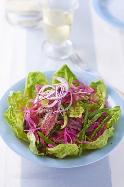 Salade de bœuf aux oignons — Photo de stock