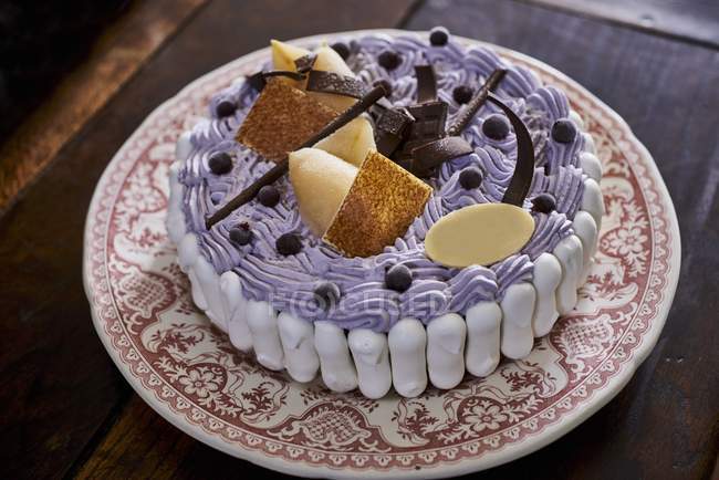 Closeup view of purple Vacherin tart with chocolate and brittles — Stock Photo