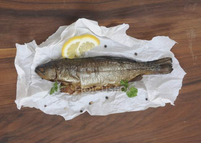Smoked trout with paper — Stock Photo