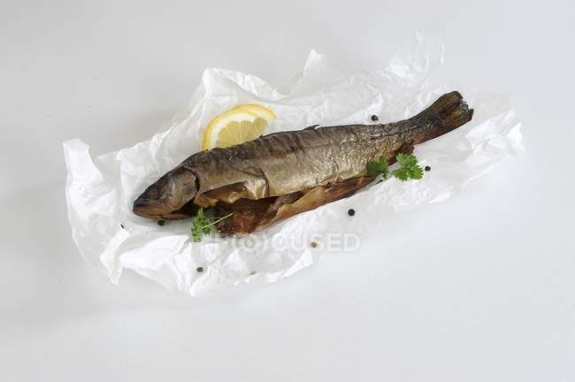 Smoked trout on paper — Stock Photo
