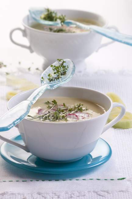 Cream of leek soup with cress and radishes — Stock Photo
