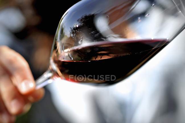 Стакан красного вина под углом — стоковое фото