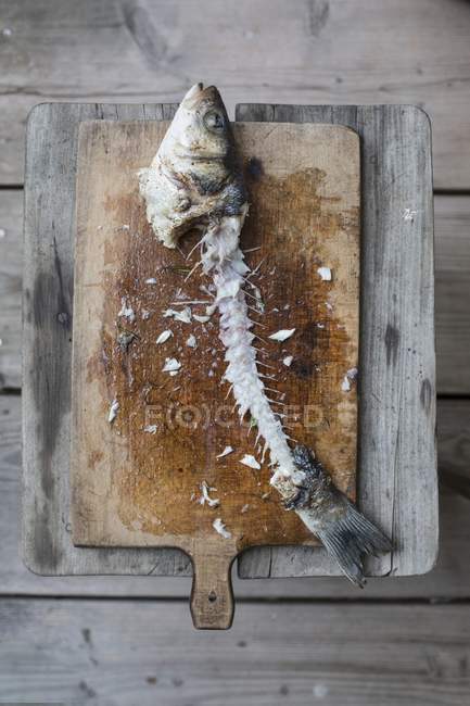 Вид зверху на риб'ячий тушу брізіні на дерев'яній дошці — стокове фото