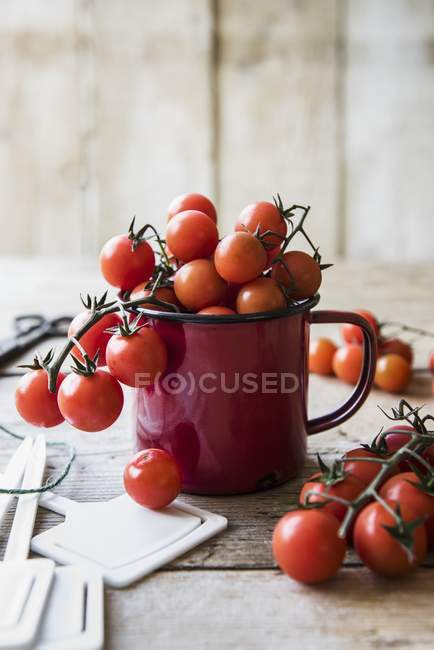 Vine tomatoes in mug — Stock Photo