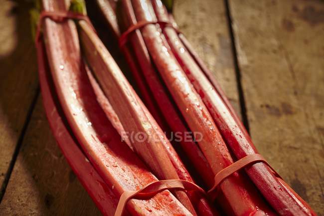 Bunches of fresh rhubarb — Stock Photo