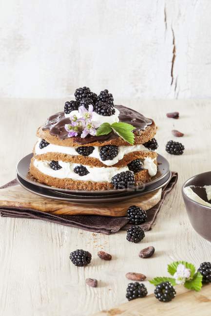 Blackberry и шоколадный торт — стоковое фото