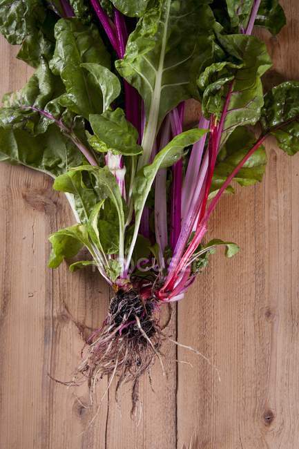 Red stemmed chard with roots — Stock Photo