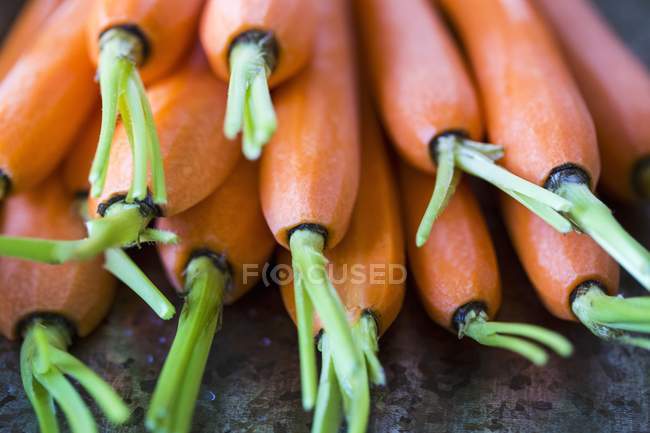Stack of peeled carrots — Stock Photo