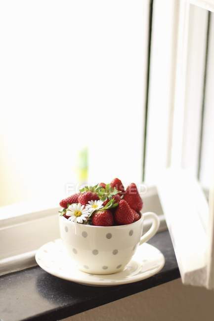 Fresh strawberries in spotted cup — Stock Photo