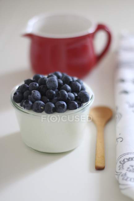 Yogurt con mirtilli freschi — Foto stock