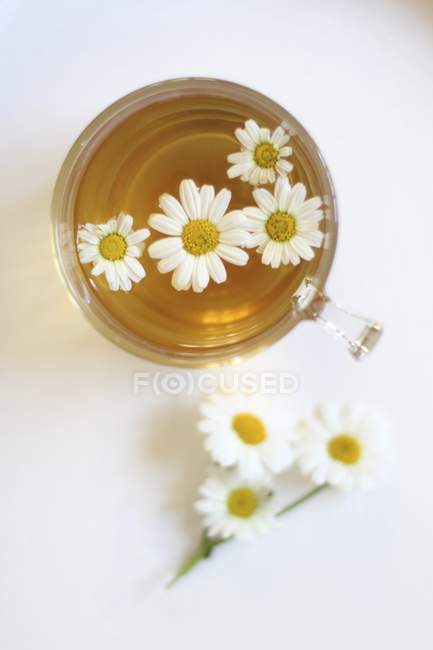 Chá de camomila em copo de vidro — Fotografia de Stock