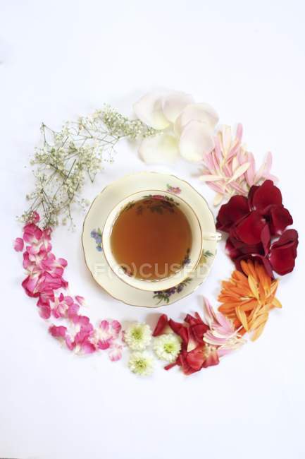 Чашка чая с различными цветами — стоковое фото