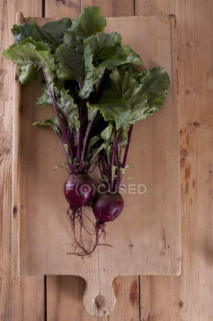 Fresh Beetroot with leaves — Stock Photo