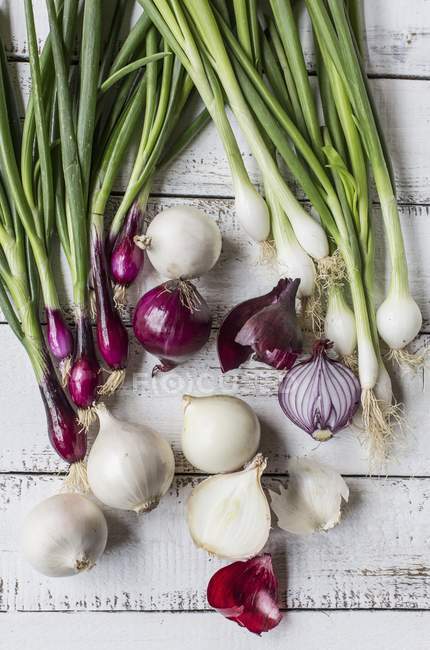 Red and white onions — Stock Photo
