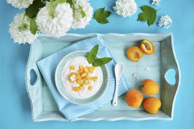 Yoghurt with apricots and mint — Stock Photo