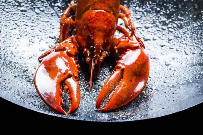 Closeup view of red lobster in black wok — Stock Photo