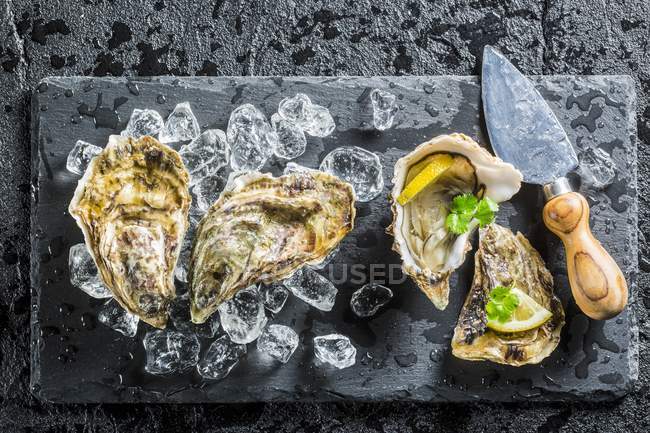 Top view of oysters on black stone with ice cubes and knife — Stock Photo