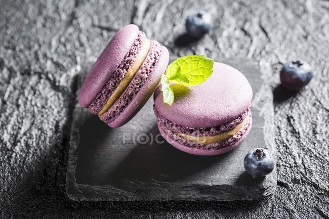 Macarons bleuets violets — Photo de stock
