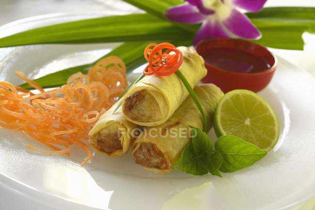 Vista de primer plano de rollos con relleno de langosta, pasta vegetal, lima y hierbas en el plato - foto de stock
