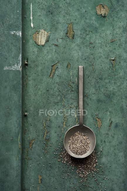 Семена чиа в ложке — стоковое фото